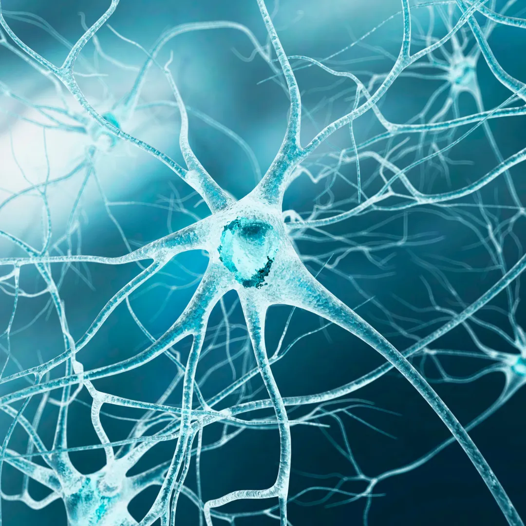 Nerve, Nerve Pain at Physio & More, Kingston